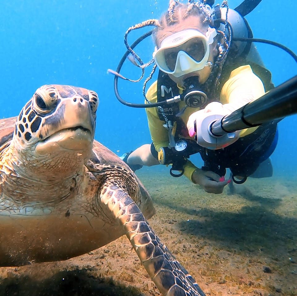 aqua aga centrum nurkowe toruń