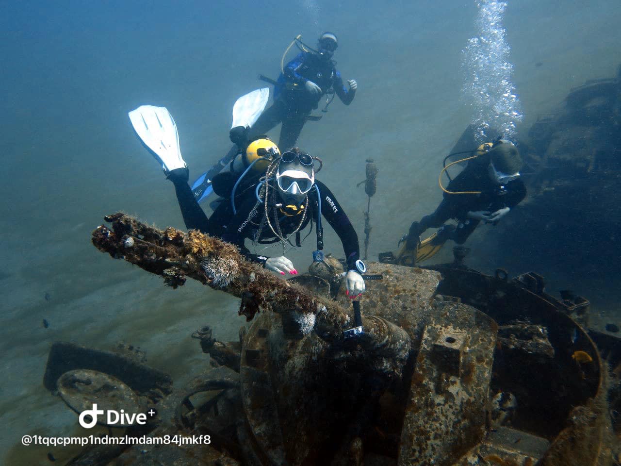 aqua aga centrum nurkowe toruń