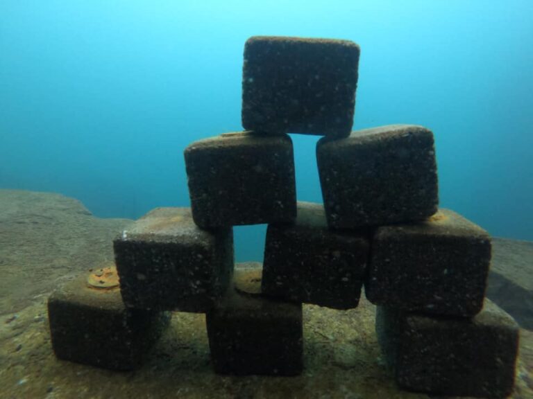 wycieczki turystyczne wyjazdy nurkowy aqua aga