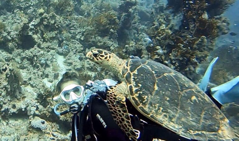 egipt wycieczka szarm el szejk nurkowanie aqua aga​