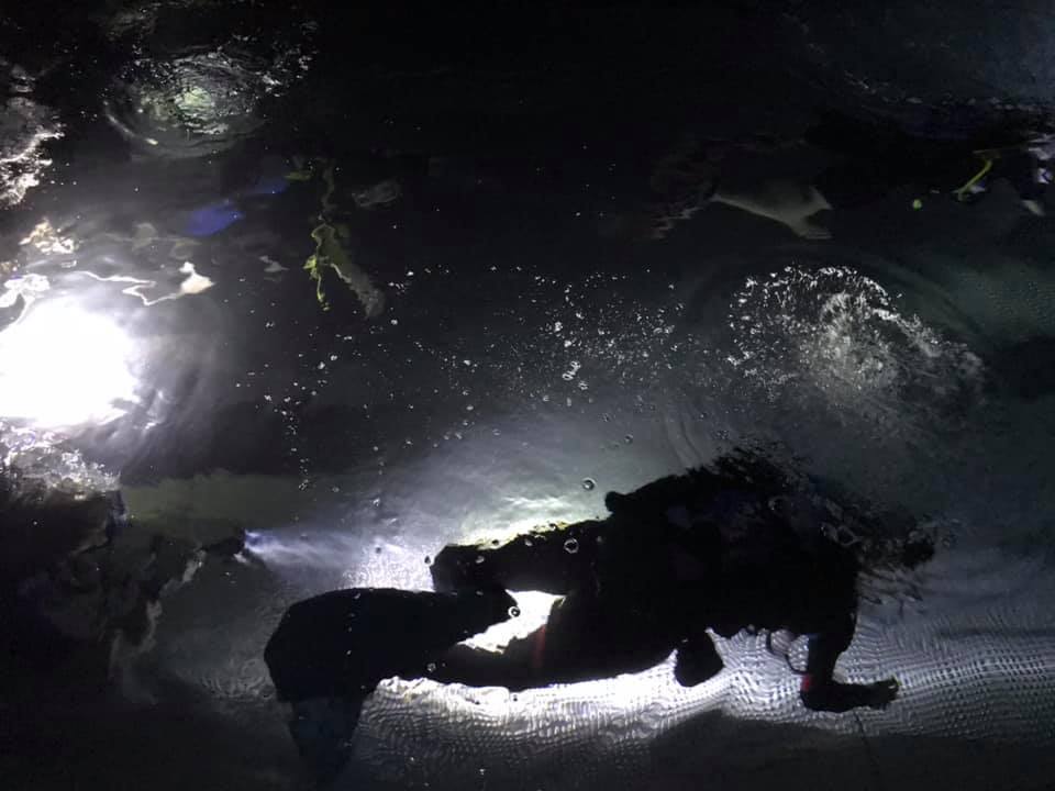 specjalistyczne kursy nurkowe toruń aqua aga specjalizacje nurkowe